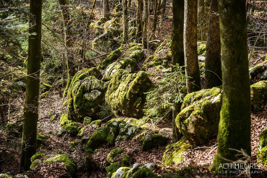 Landhotel Kirchenwirt أونكن المظهر الخارجي الصورة